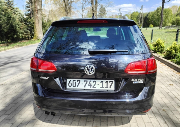 Volkswagen Golf cena 43900 przebieg: 174870, rok produkcji 2016 z Chocianów małe 92